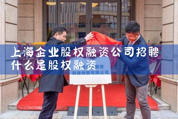上海天使轮融资企业股权设计费用