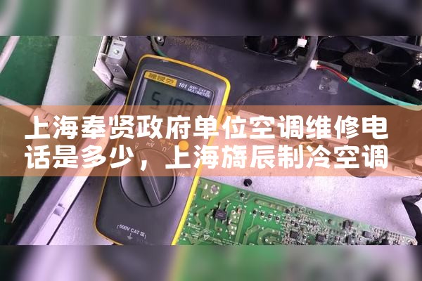 Ϻλյά޵绰Ƕ|ͬŷ