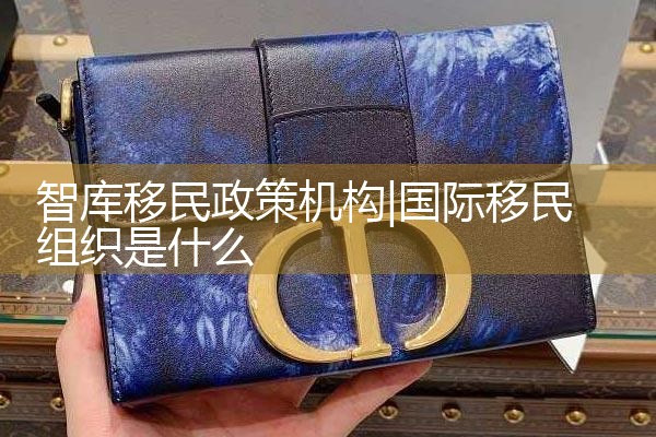 智库移民政策机构
